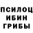 Псилоцибиновые грибы GOLDEN TEACHER Layton exclusif