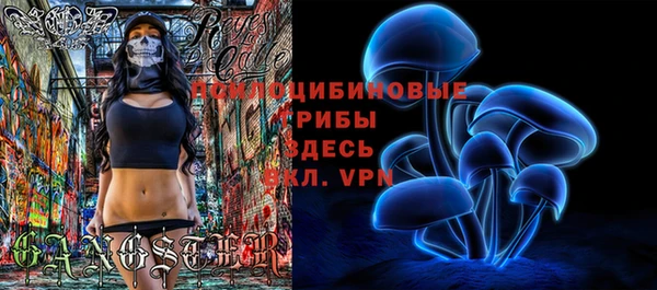 дживик Заволжье
