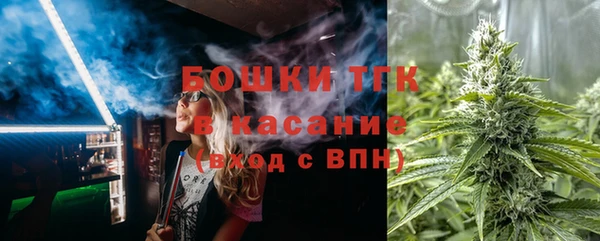 молекула духа Заводоуковск